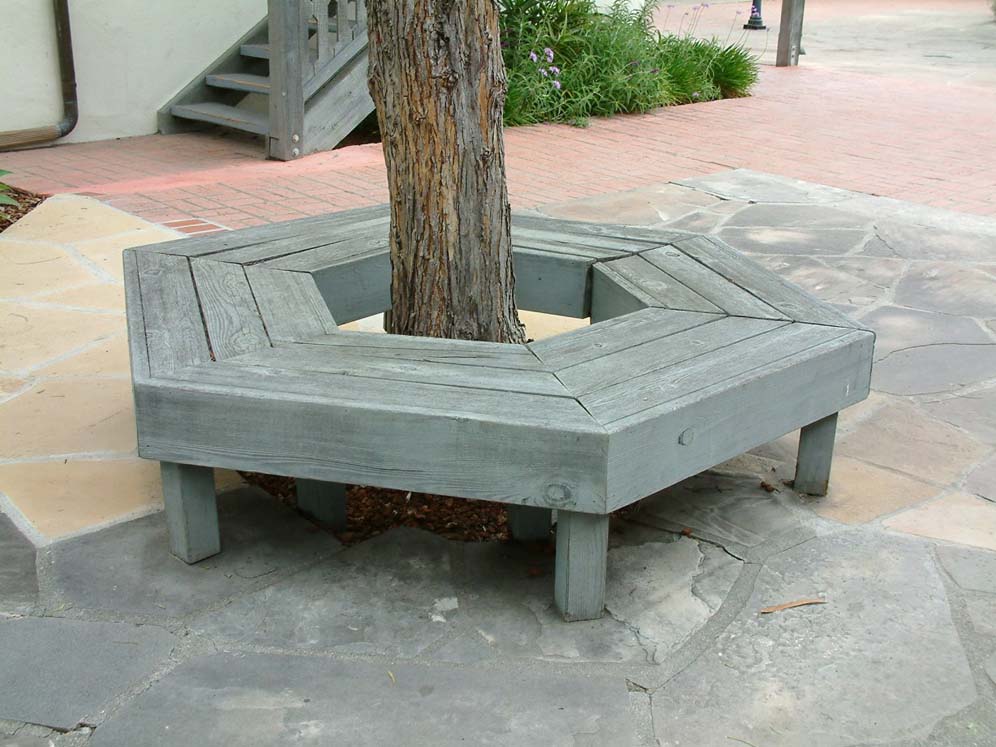 bench around tree