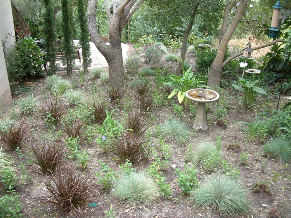 Shaded Meadow with Bird Bath