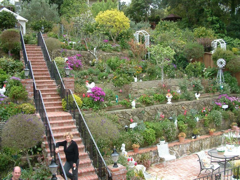 Neat Rows of Terracing