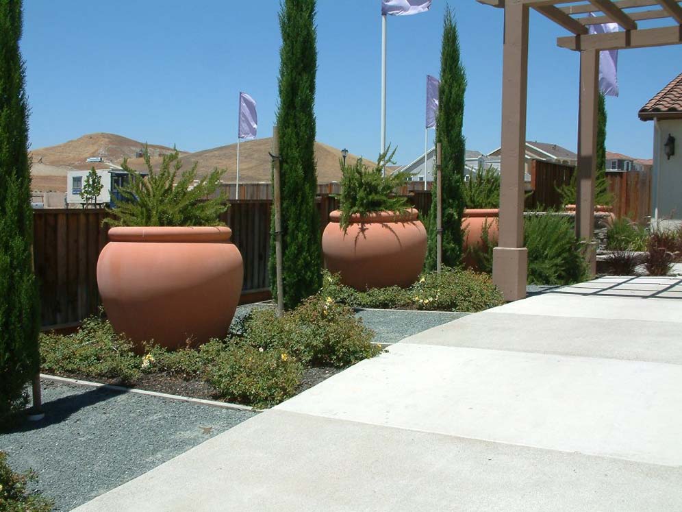 Large Urns and Junipers