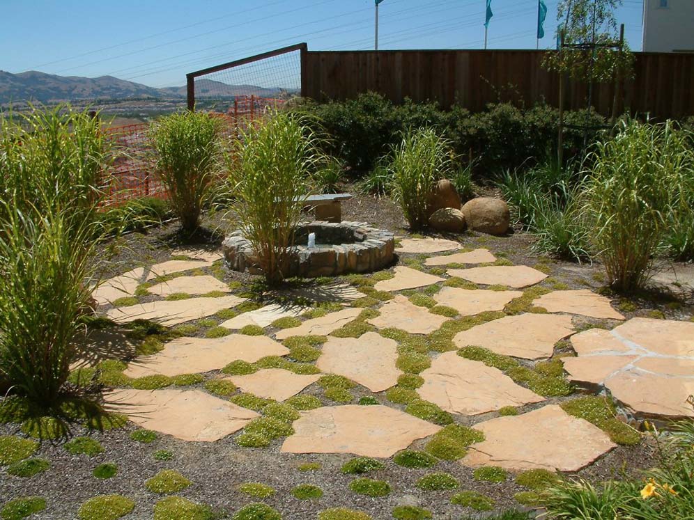 Fountain Among the Grasses