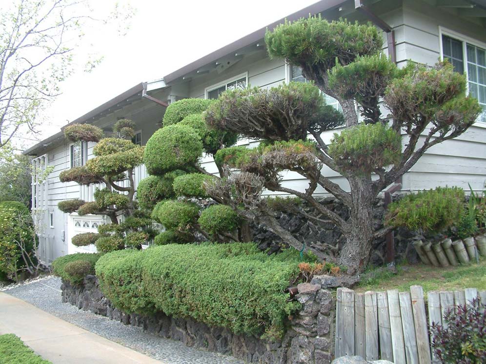 Topiary Heaven