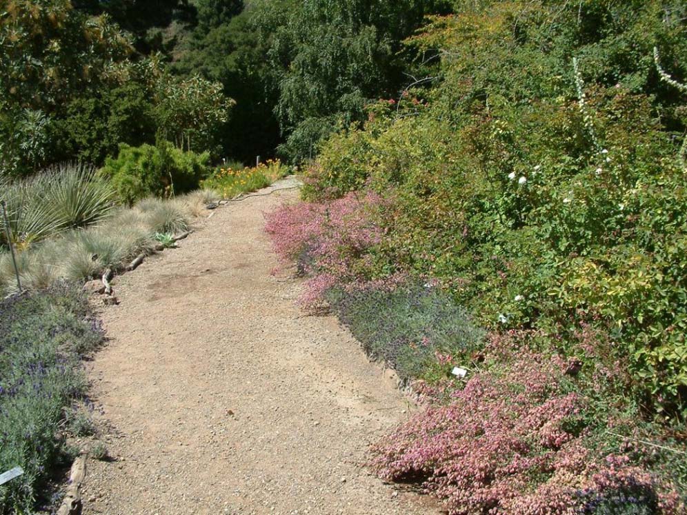 Winding Gravel Path1