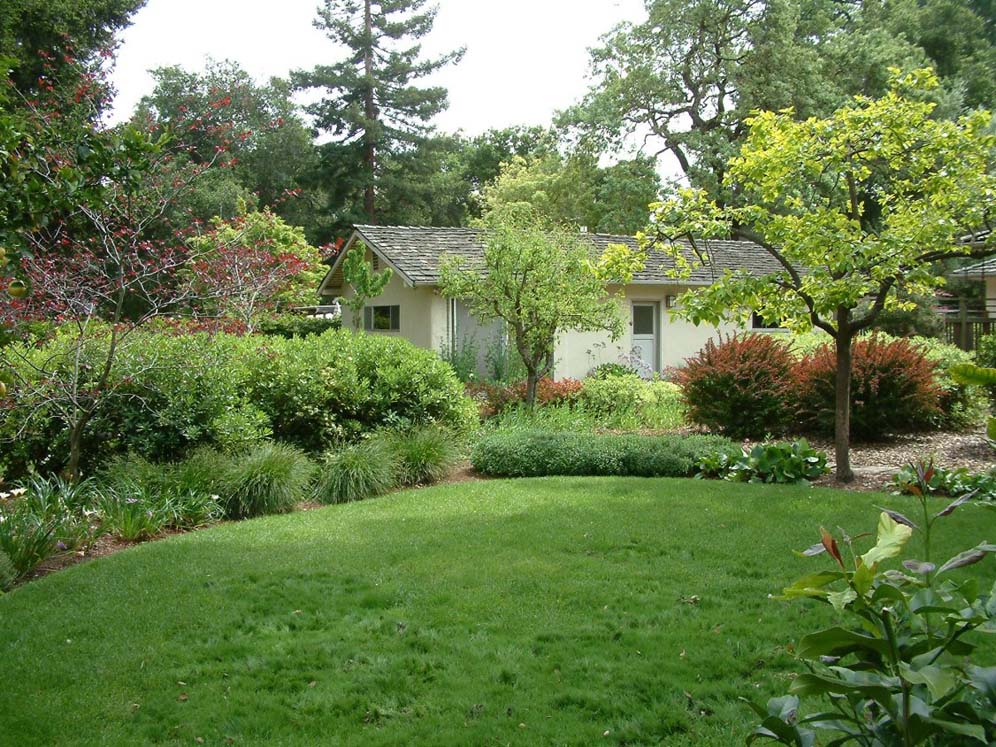 Rolling Grass Lawn and Shrub Border