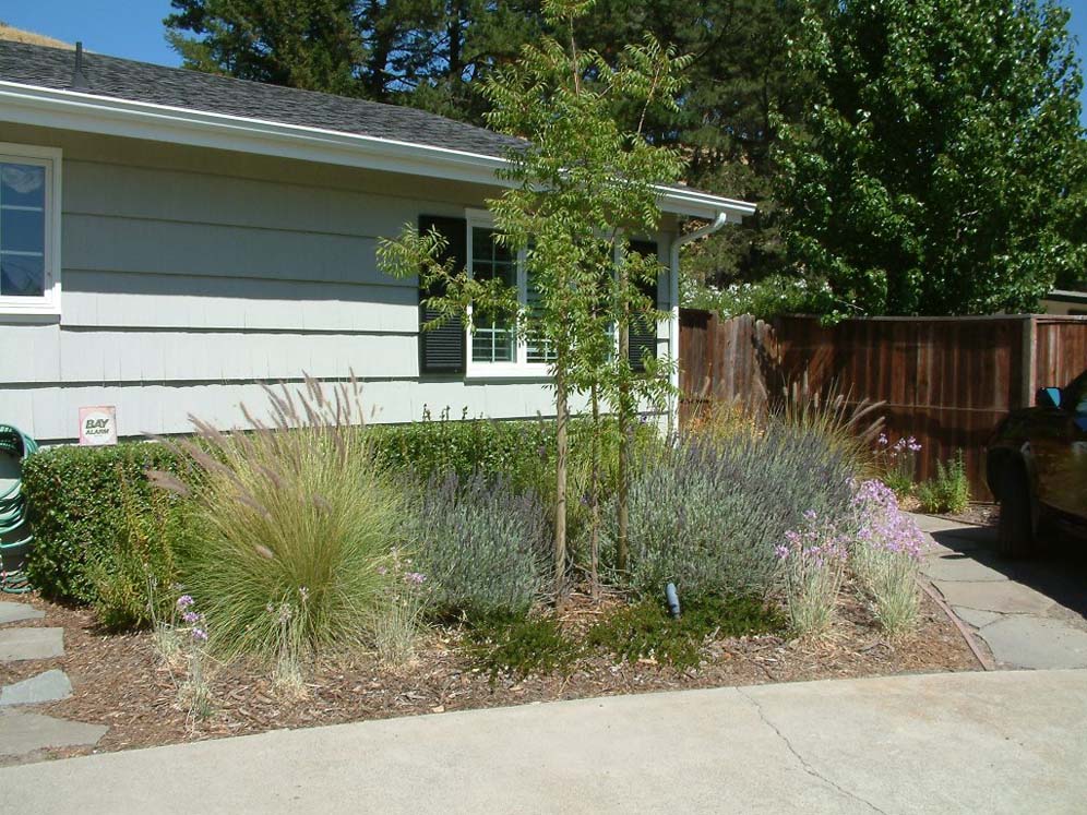 Formal Hedge and Informal Grasses