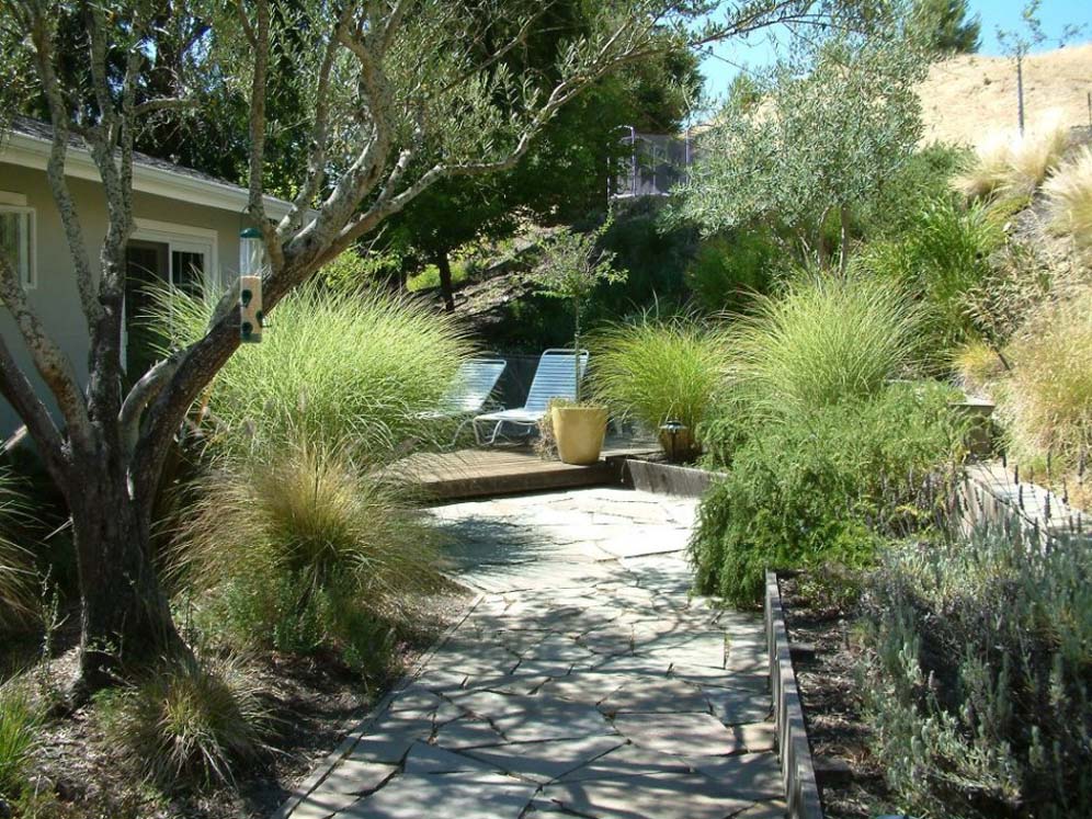 Shaded Walkway