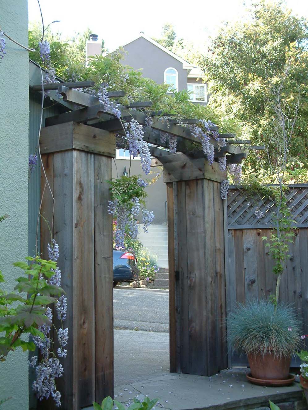 Wisteria Overhang