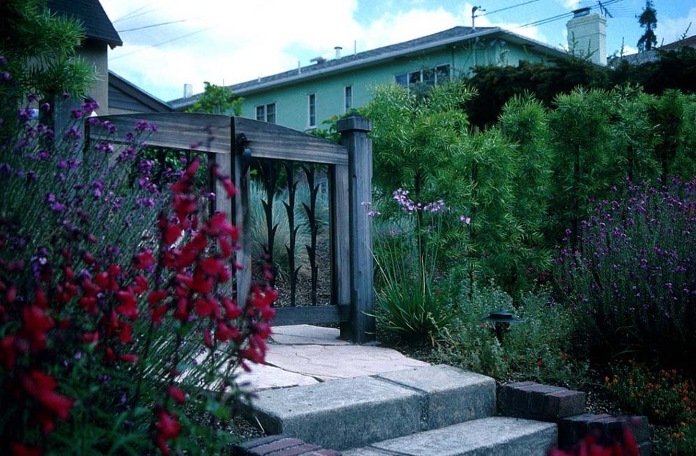 Steps and Garden Gate