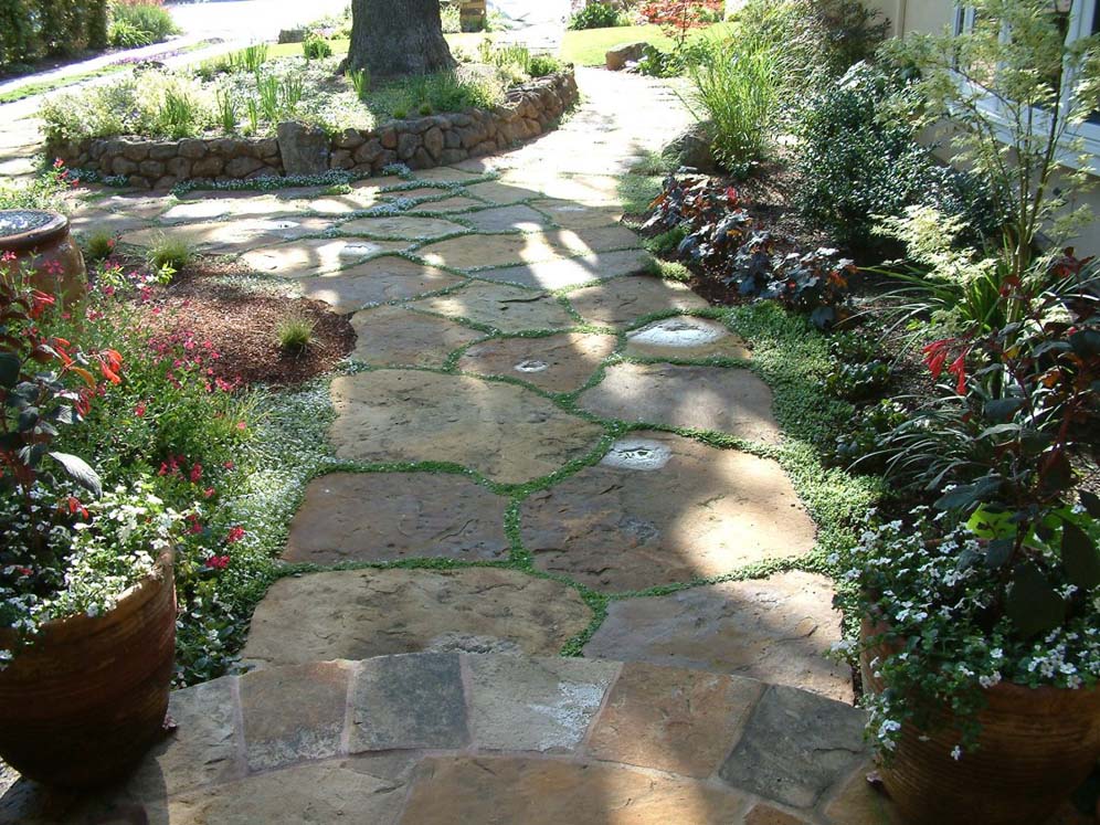 Patio Pavers to the Tree