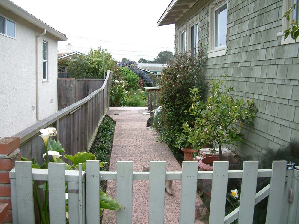 Neat Side Yard