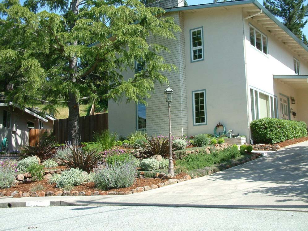 Corner Curb Appeal