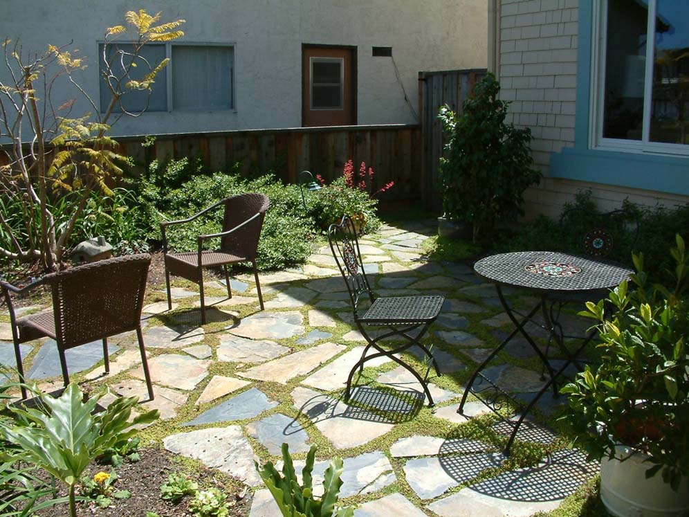 Pavers and Groundcover