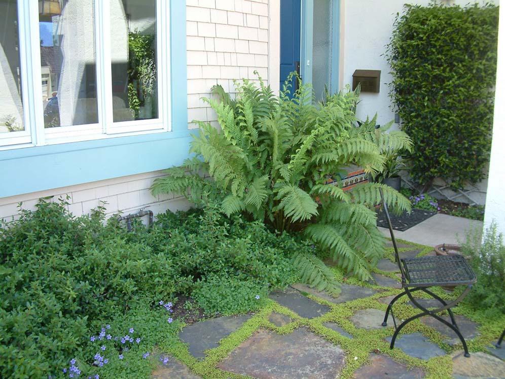 Interior Patio Planter by House