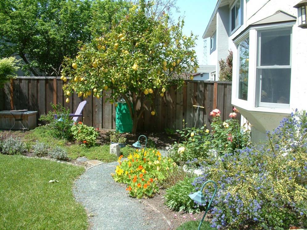 Backyard Plantings Near House