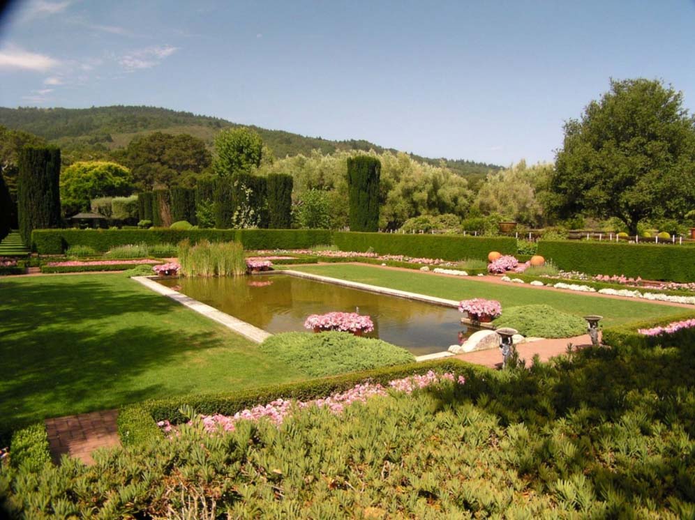 Reflection Pool Filoli